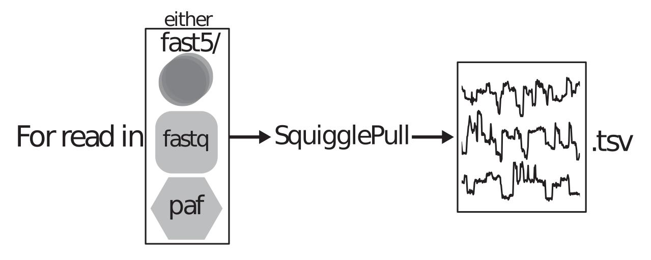 SquigglePull figure showing inputs
